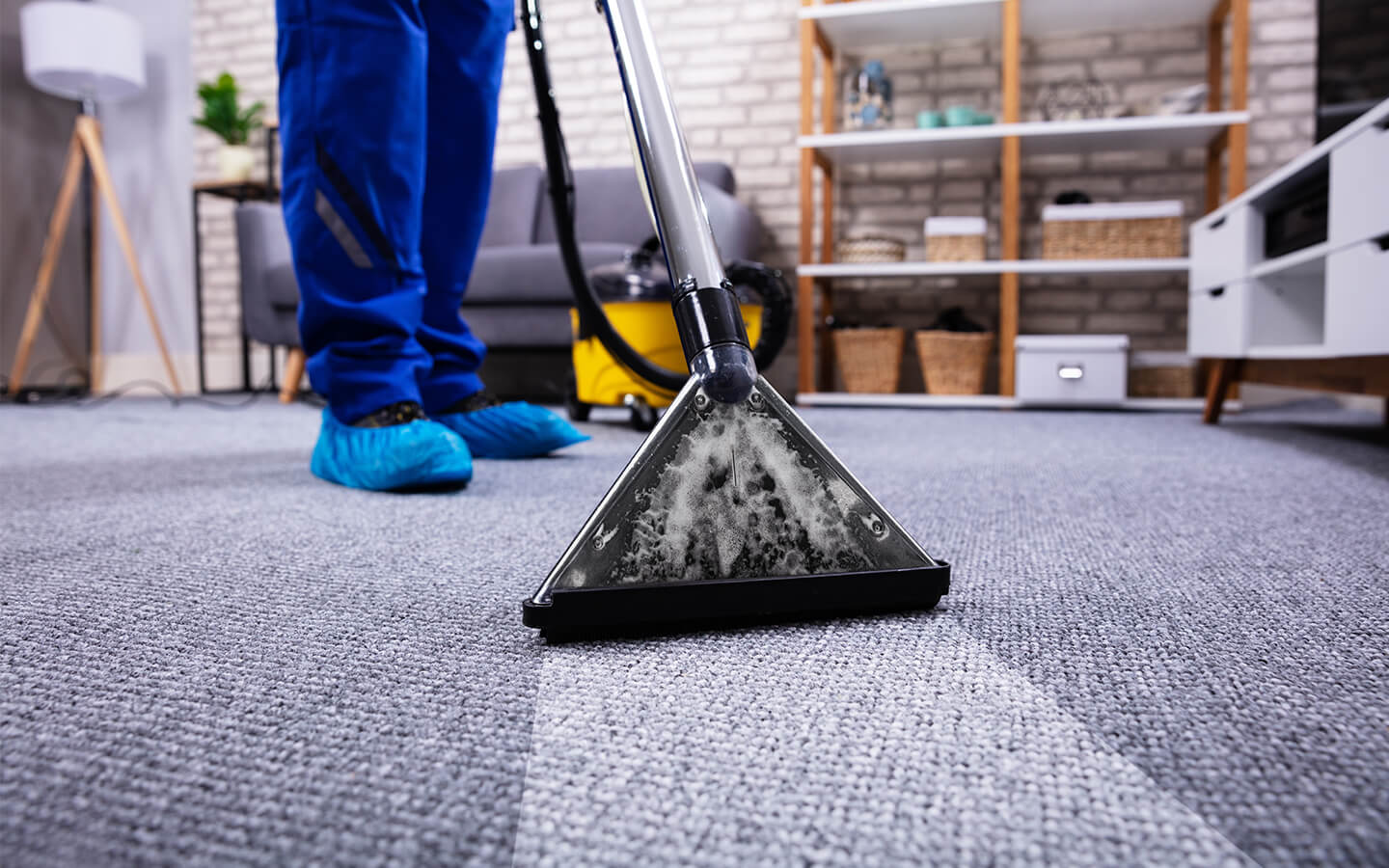 Leading carpet cleaning service in Geelong